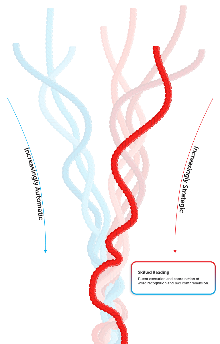 Language Structures