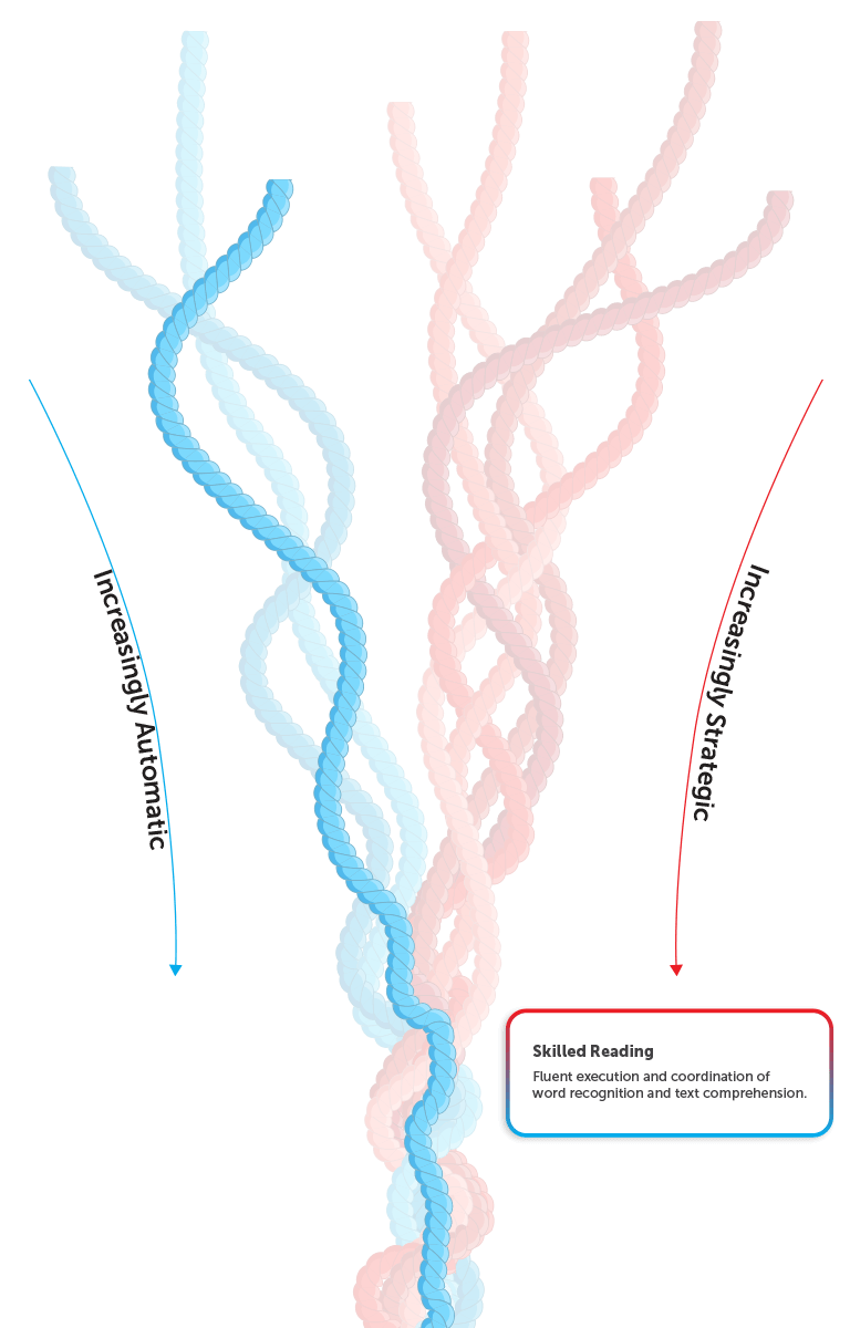 Phonological Awareness